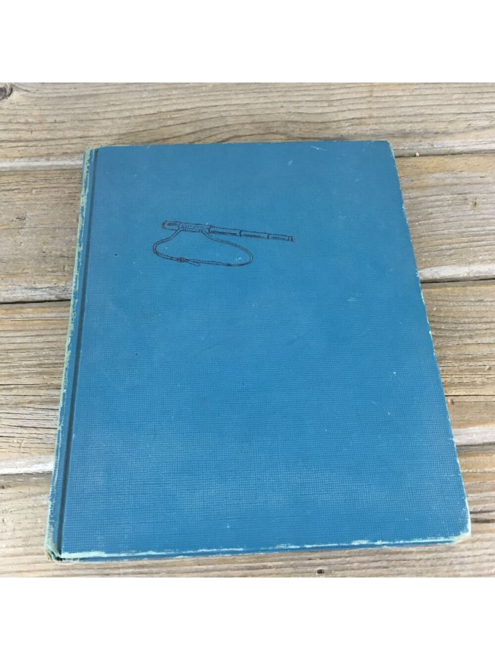 Vintage 1957 A Dog for Davie’s Hill by Clare Bice – Blue Hardcover